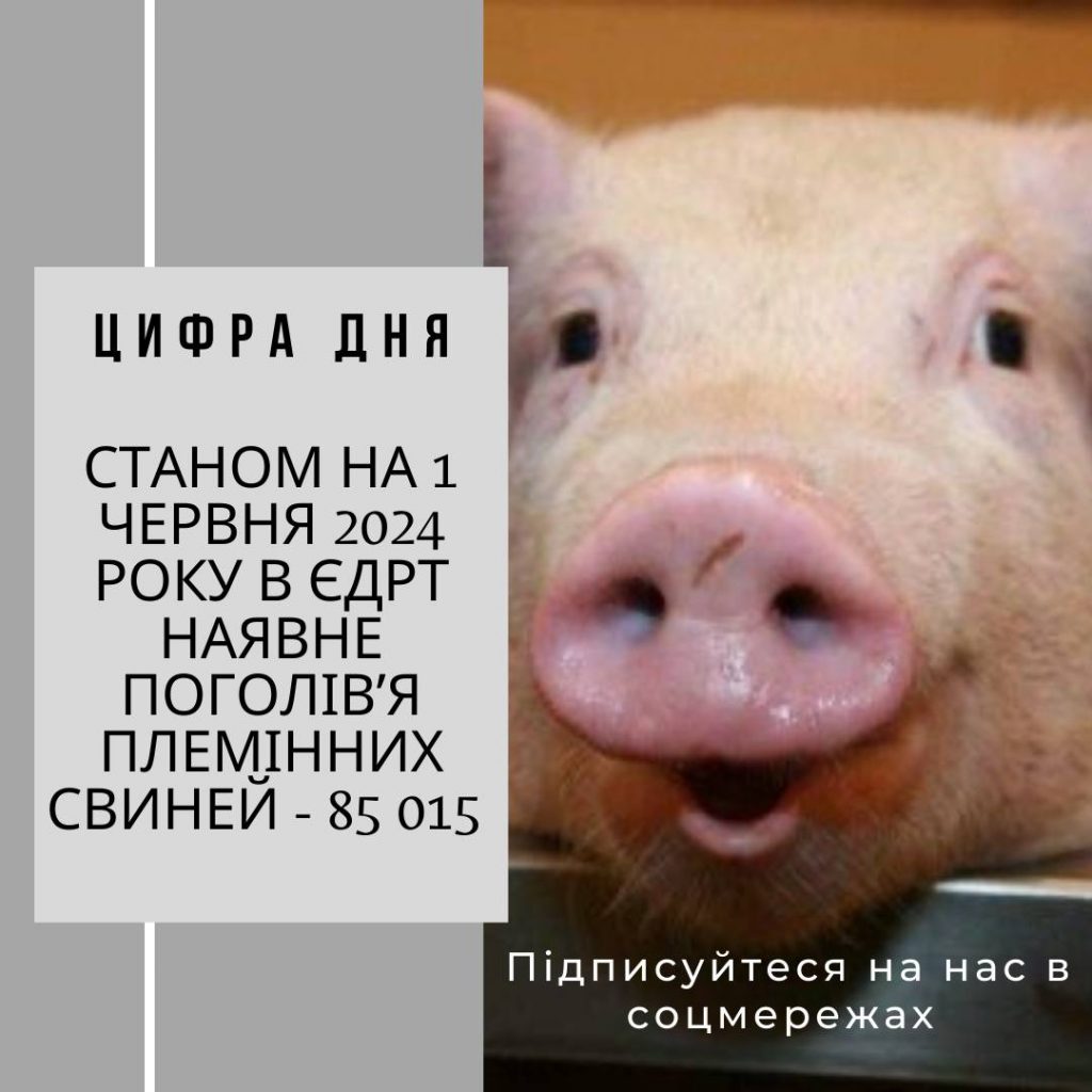 Цифра дня