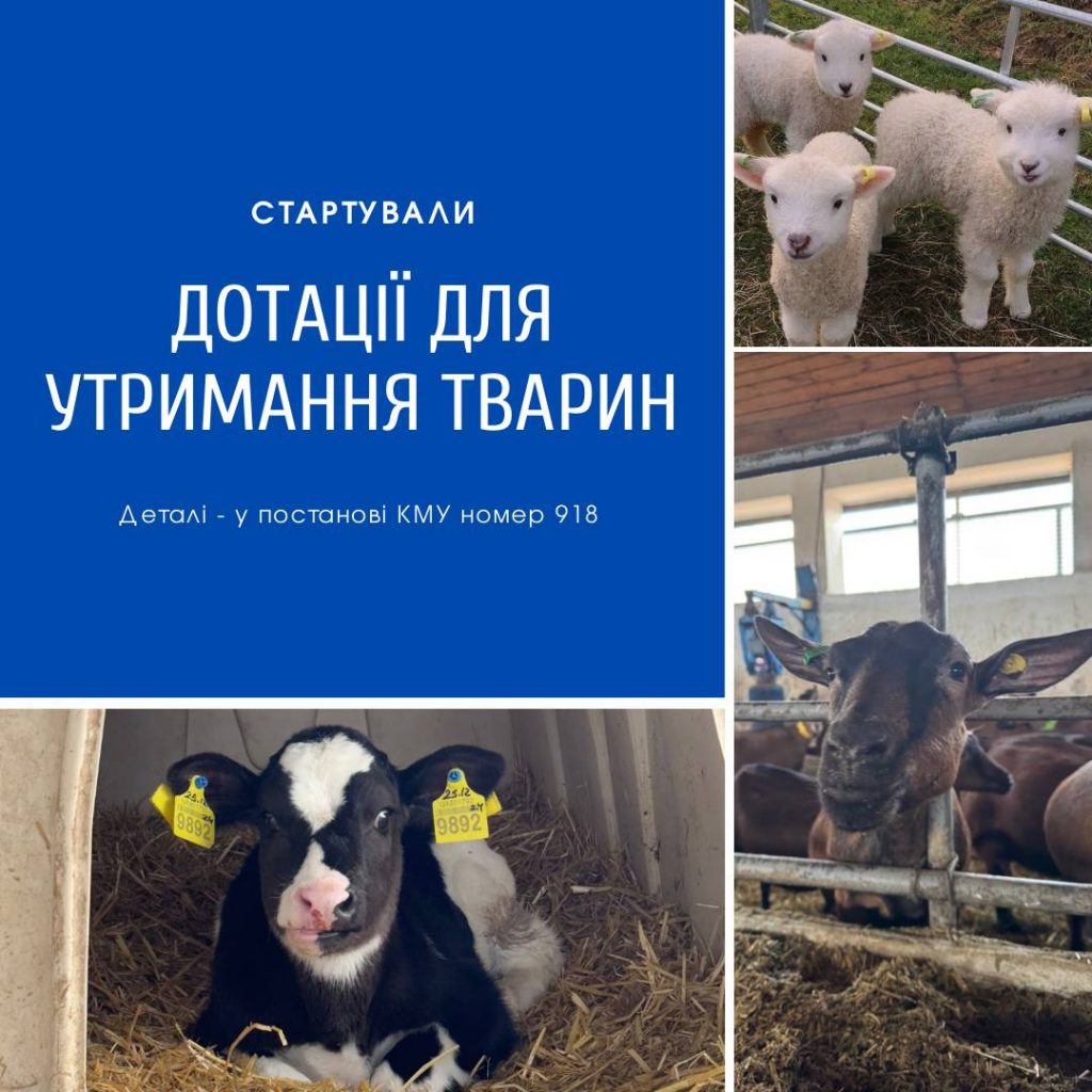 🔹 ВАЖЛИВА ІНФОРМАЦІЯ ДЛЯ ТВАРИННИКІВ! 🔹