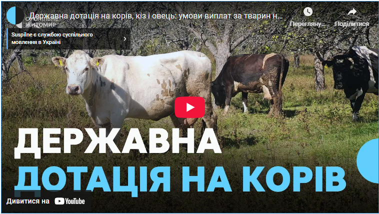 Державна дотація на корів, кіз і овець: умови виплат за тварин на Житомирщині
