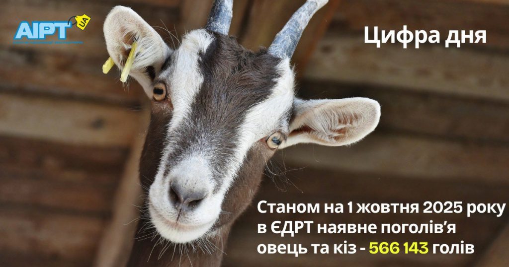 ЦИФРА ДНЯ