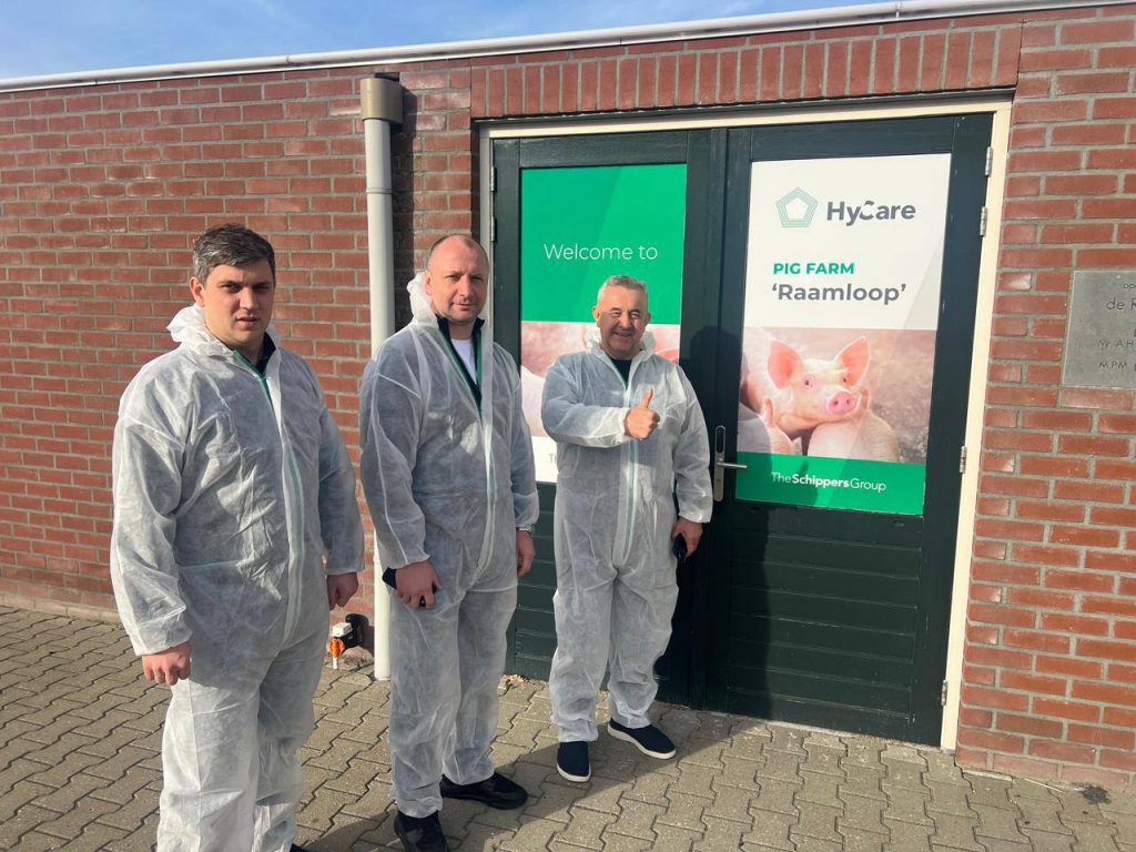 МОЛОЧНІ ФЕРМИ НІДЕРЛАНДІВ