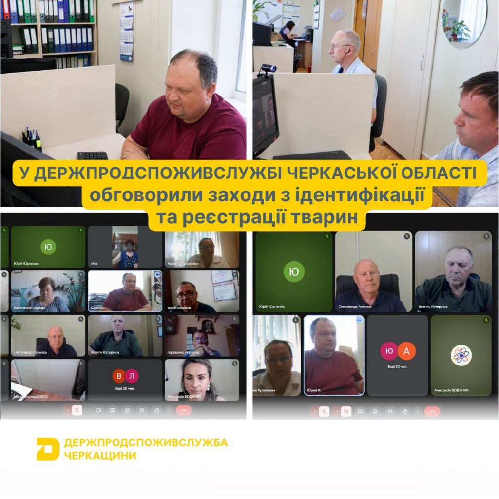 Керівник Черкаської філії Державного підприємства «Агентство з ідентифікації і реєстрації тварин» Олександр Атамась взяв участь у робочій онлайн-нараді, що відбулася в Головному управлінні Держпродспоживслужби в Черкаській області під головуванням заступника начальника Анастасії Водяник.