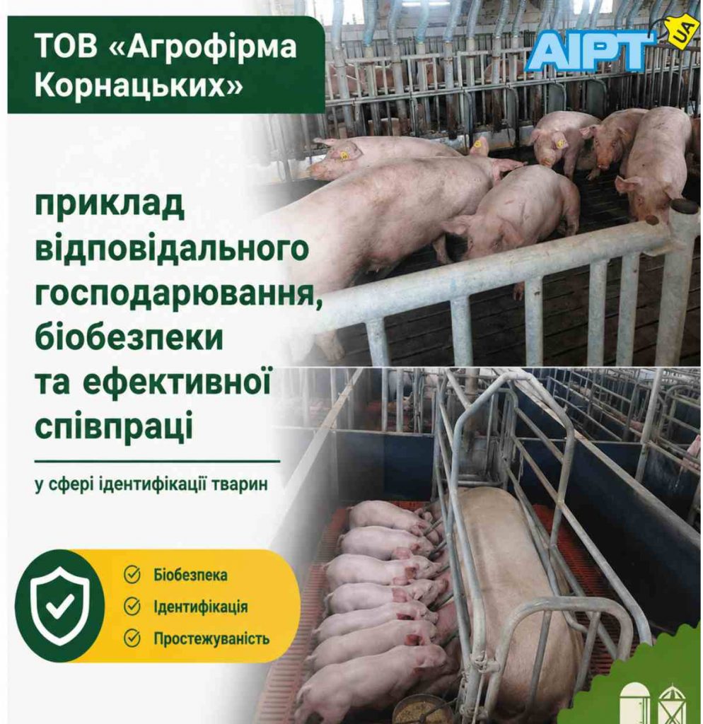 ТОВ «Агрофірма Корнацьких»: приклад відповідального господарювання, біобезпеки та ефективної співпраці у сфері ідентифікації тварин
