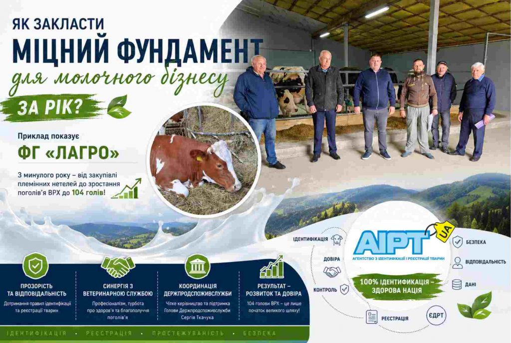Як закласти міцний фундамент для молочного бізнесу за рік? Приклад показує ФГ «Лагро» на Закарпатті